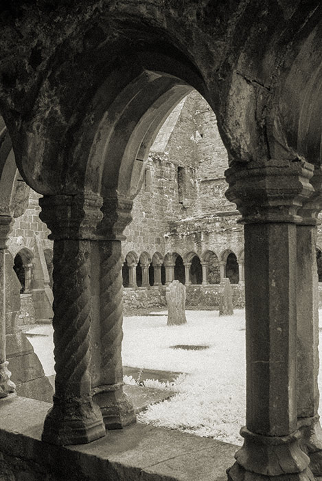 Sligo Abbey (Dominican Friary)