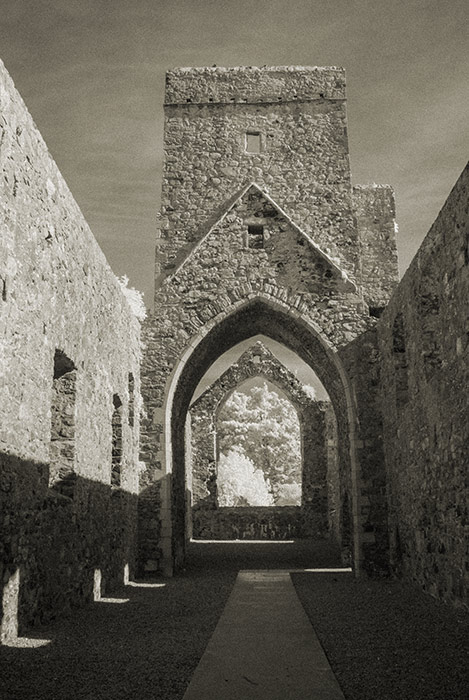 Carlingford Abbey (Dominican Friary)