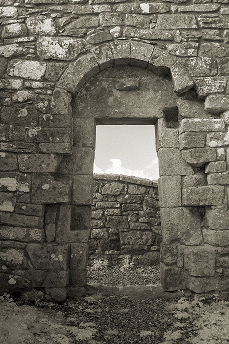 Banagher Old Church, door