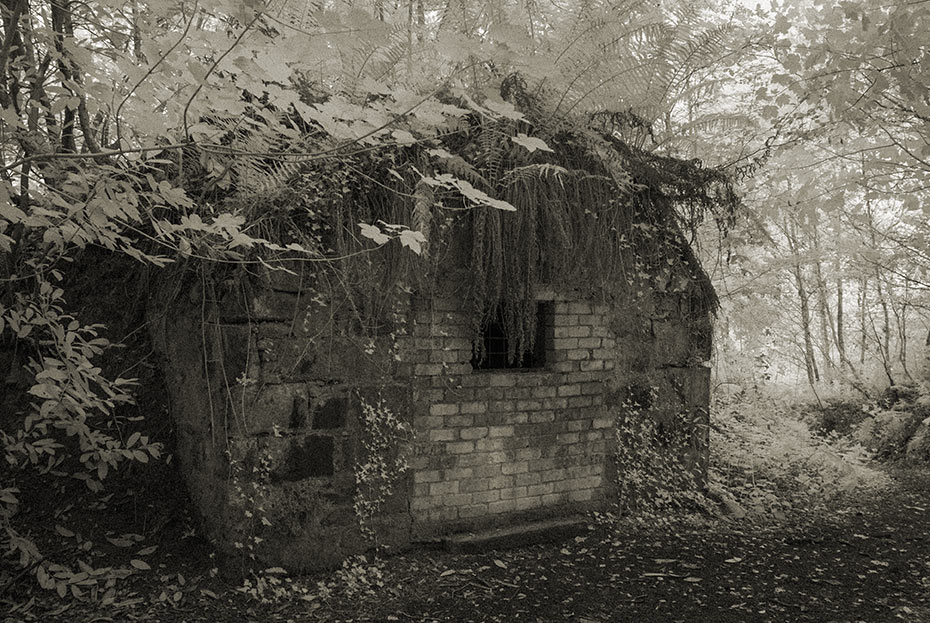 Castlewellan Ice House