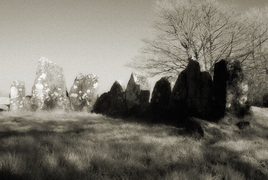 Dooey's Cairn 2