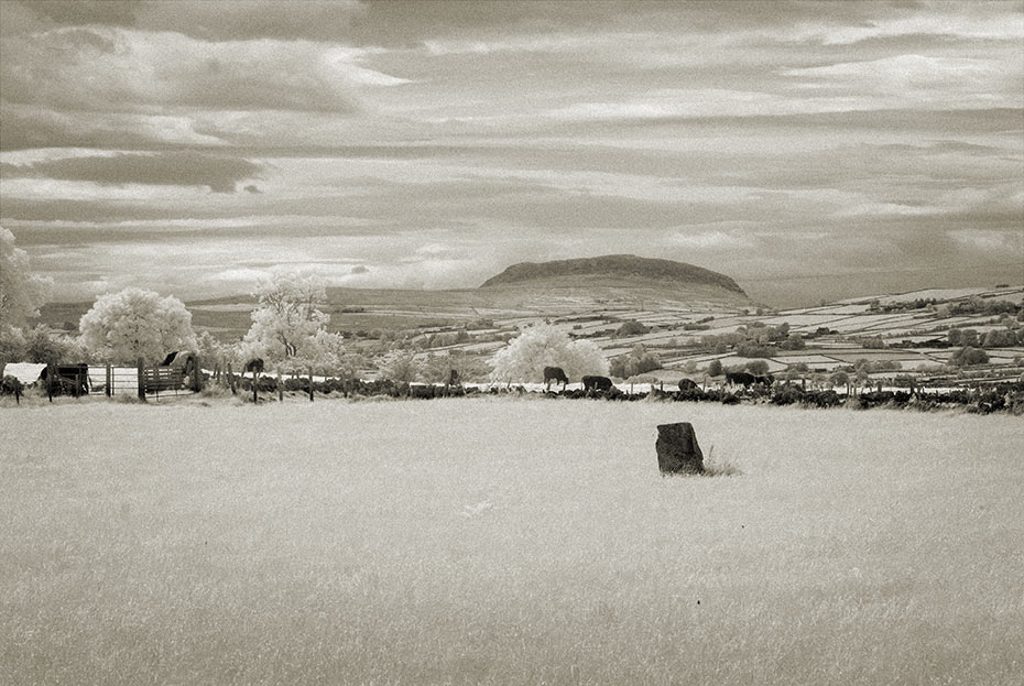 Gowkstown Standing Stone