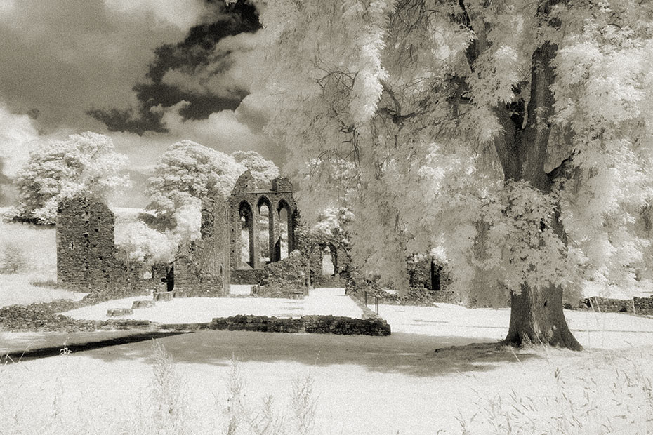 Inch Abbey Cistercian monastery ruin