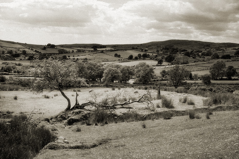 legananny-standing-stone-6