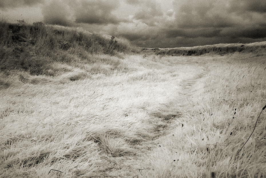 Lissanduff Earthworks