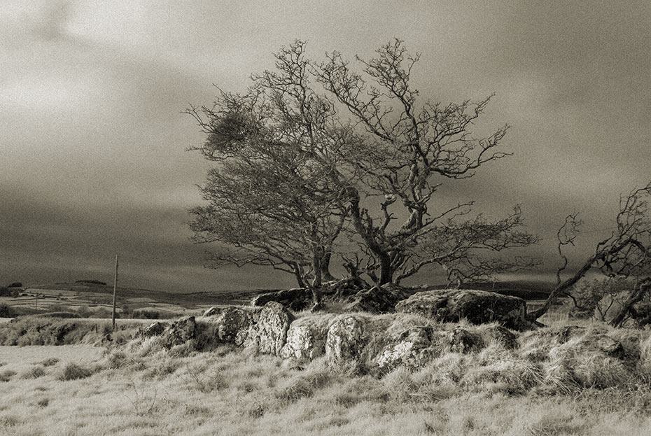 Loughmacrory Wedge Tomb