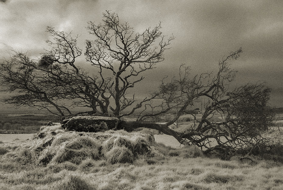 Loughmacrory Wedge Tomb