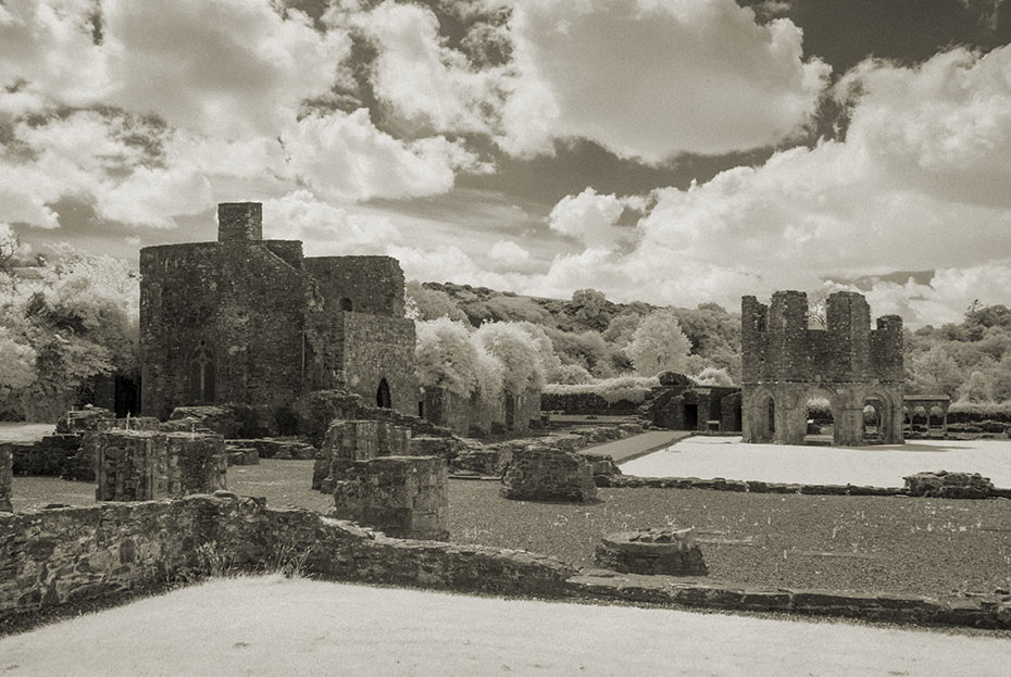 Mellifont Abbey