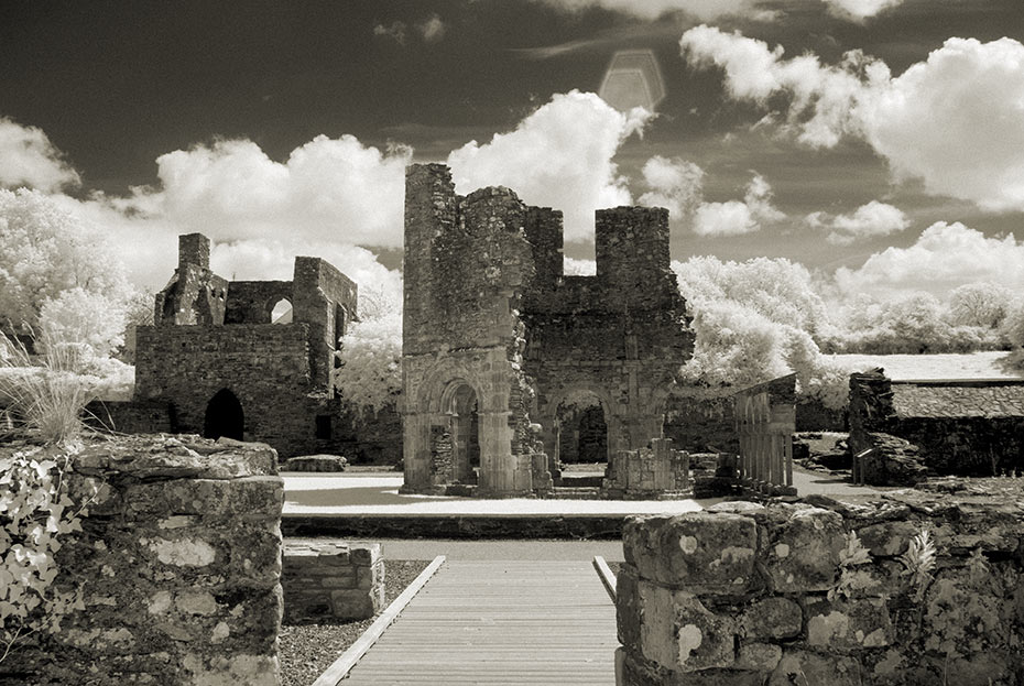 Mellifont Abbey