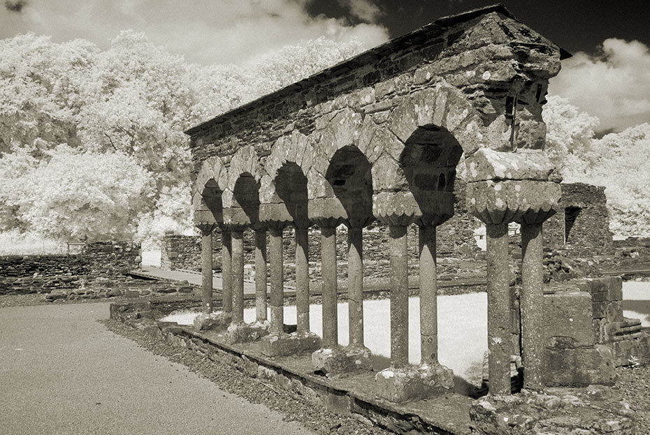 Mellifont Abbey