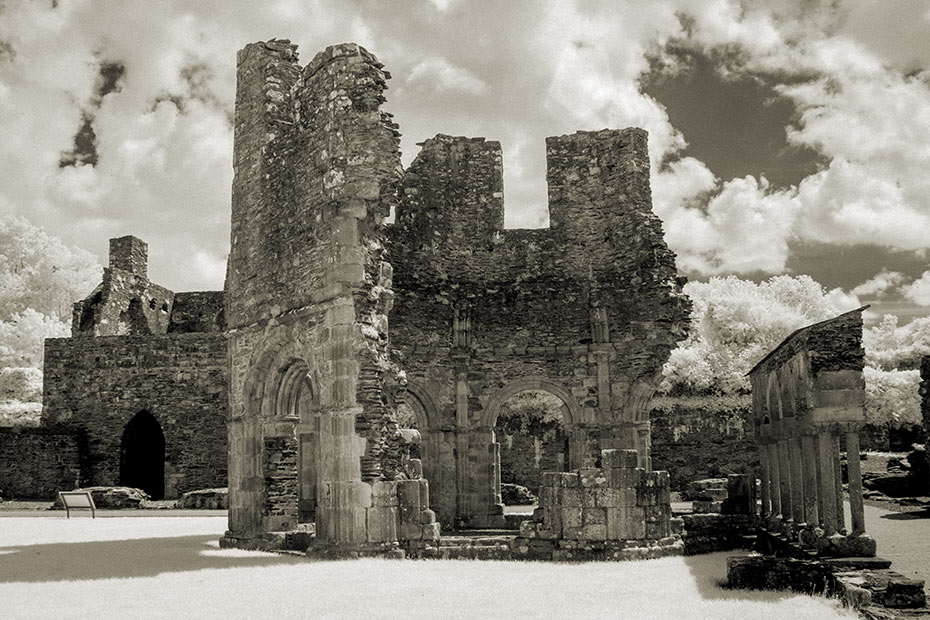 Mellifont Abbey