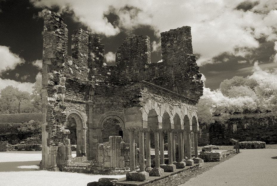 Mellifont Abbey