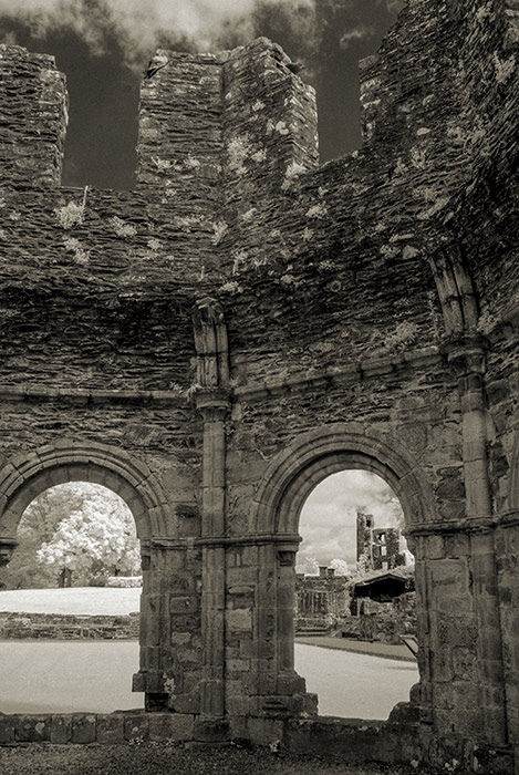 Mellifont Abbey