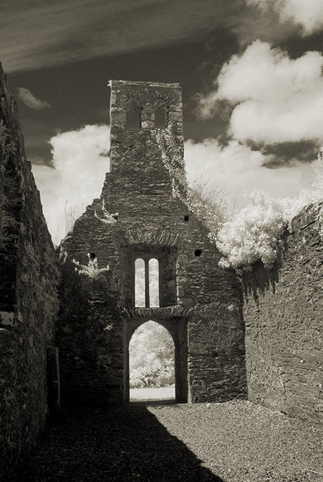 Mellifont Abbey