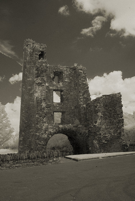 Mellifont Abbey