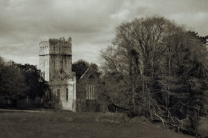 Muckross Friary