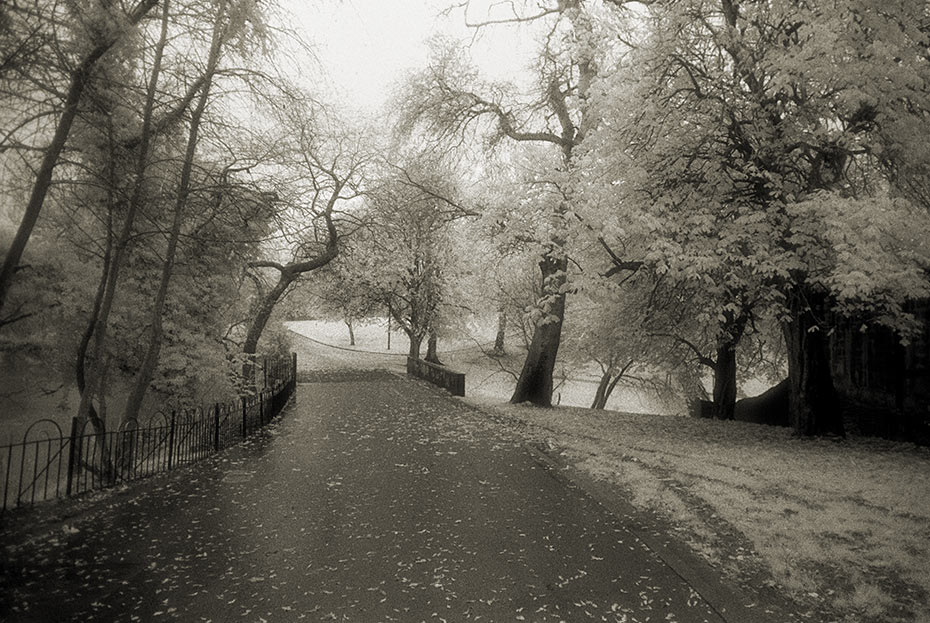 Alexandra Park, Belfast