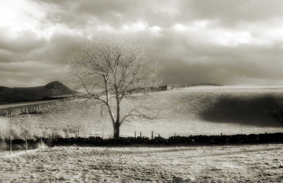 Slemish landscape