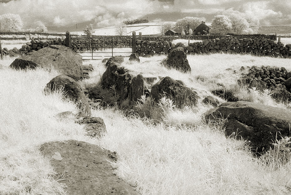 Tamybuck Wedge Tomb