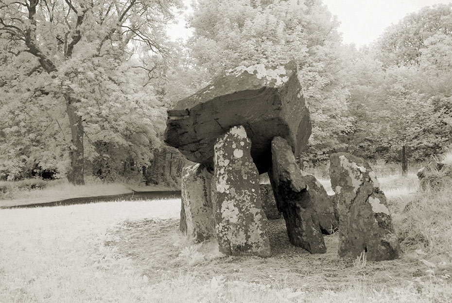 Tirnony Dolmen 6