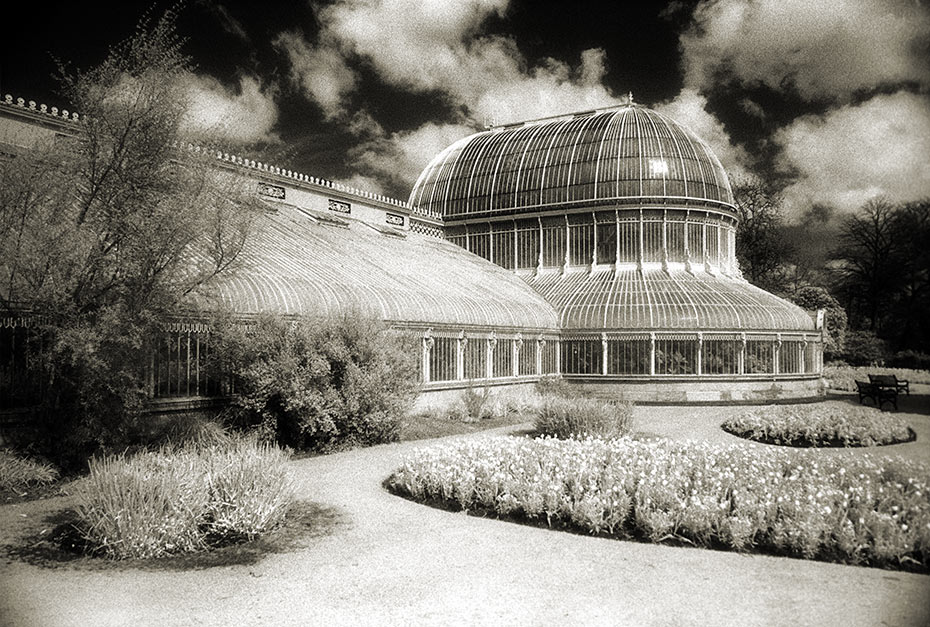 Belfast Palm House