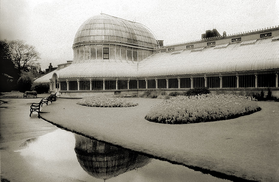 Belfast Palm House