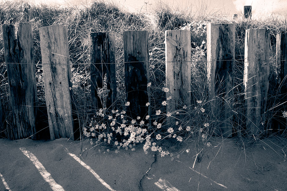 Cushendun Beach Sleepers