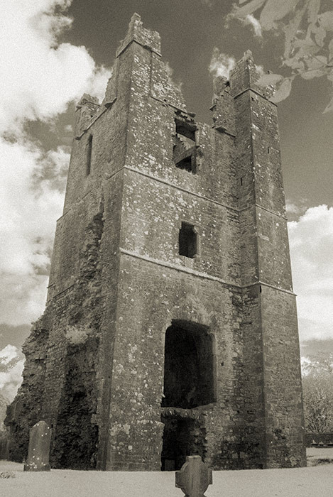 St Mary's Abbey, Duleek