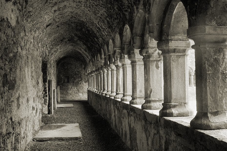 Sligo Abbey (Dominican Friary)