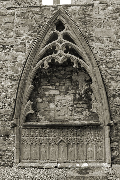 Sligo Abbey (Dominican Friary)