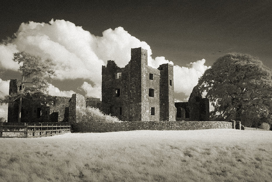 Bective Abbey