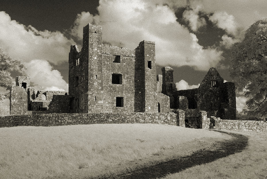 Bective Abbey