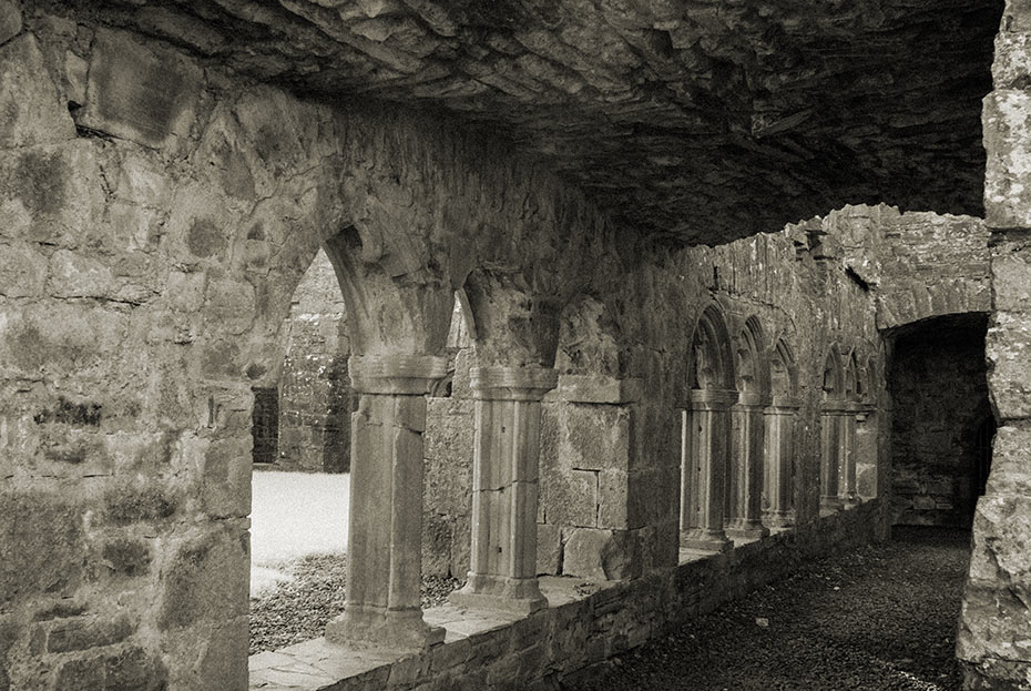 Bective Abbey