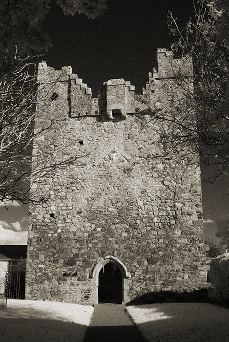 Carlingford Abbey (Dominican Friary)