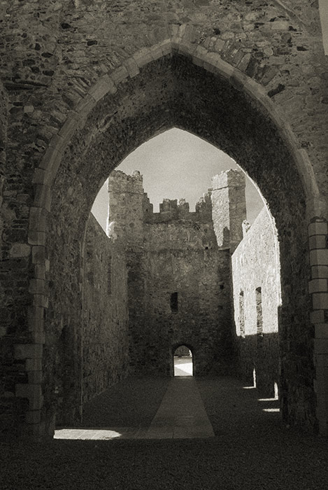 Carlingford Abbey (Dominican Friary)