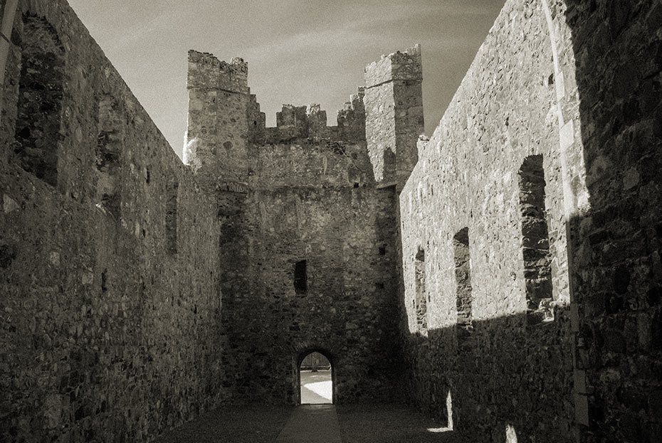 Carlingford Abbey (Dominican Friary)