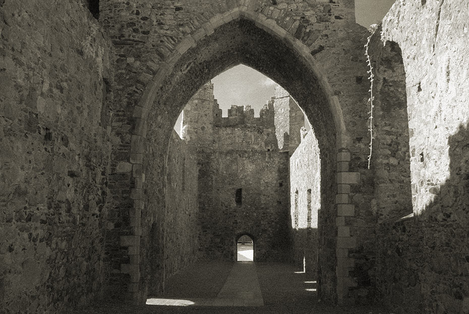 Carlingford Abbey (Dominican Friary)