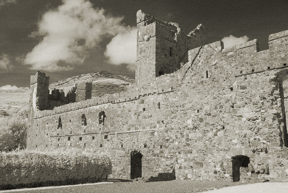 Carlingford Abbey (Dominican Friary)