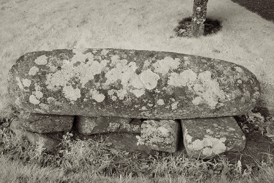 Castledermot Viking Hog-back stone
