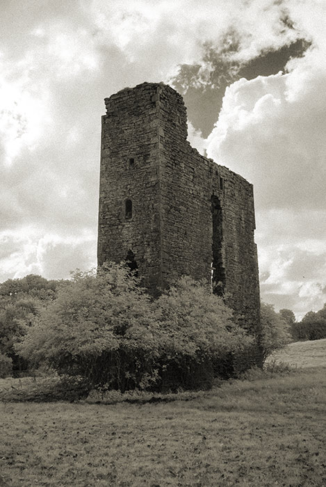 Monkstown Castle