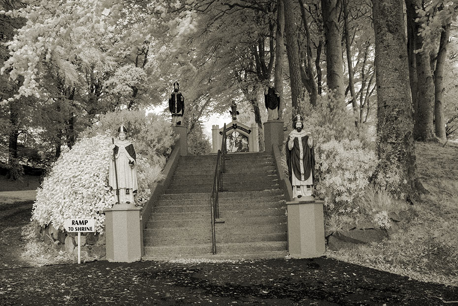 Steps to St Brigid's Shrine