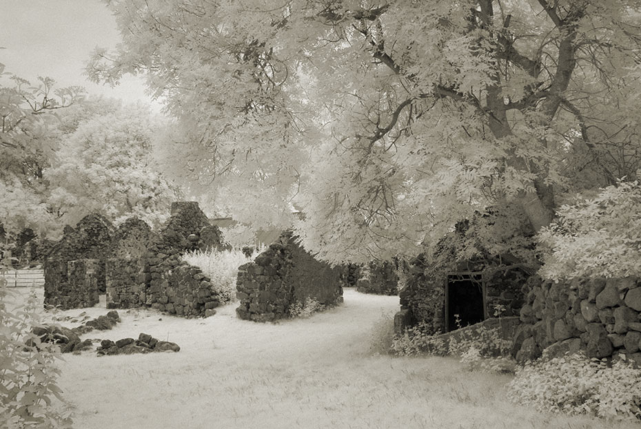 The hidden village in summer