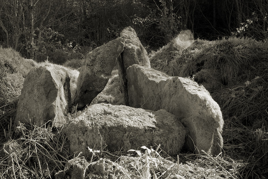 Carnfadrig Portal Tomb