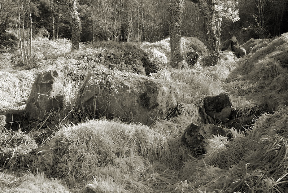 Carnfadrig Portal Tomb