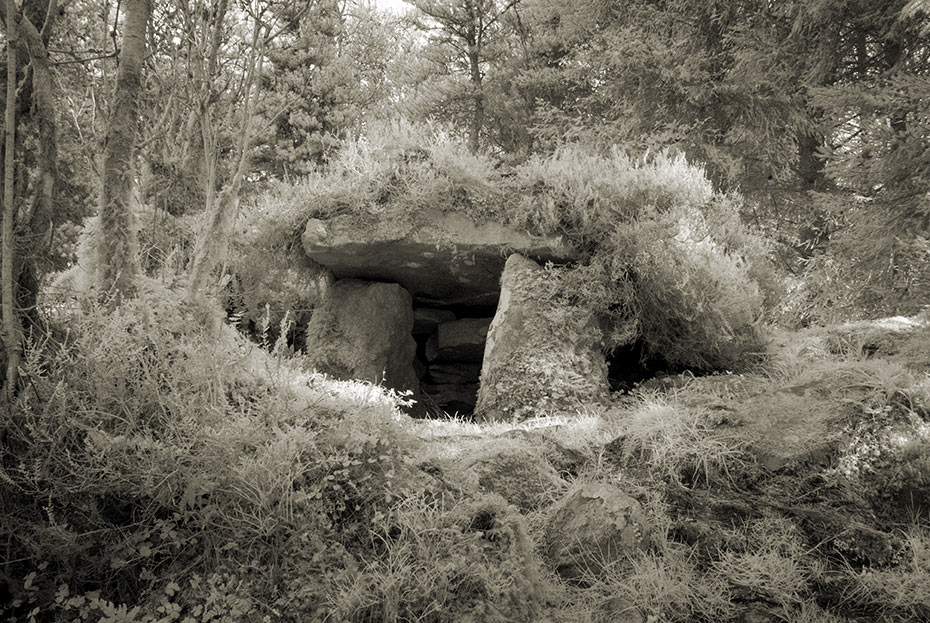 Cavan Burren - Portal Tomb