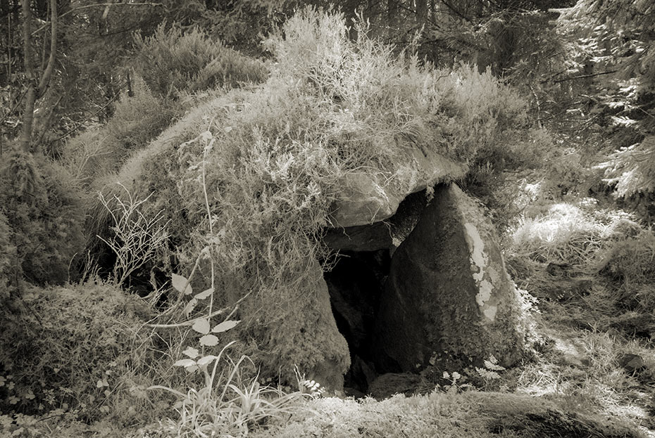 Cavan Burren - Portal Tomb