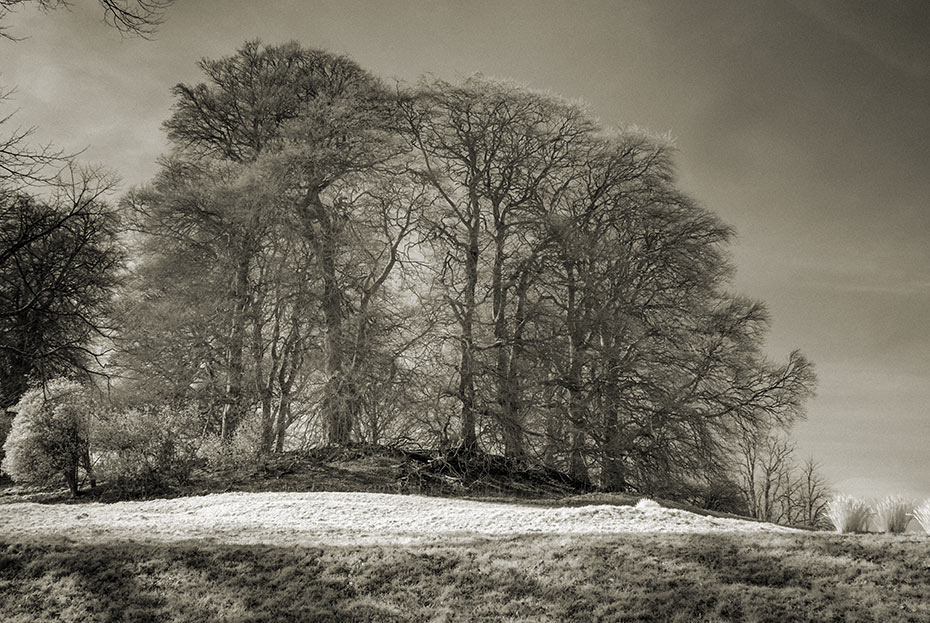 Clogher Hillfort