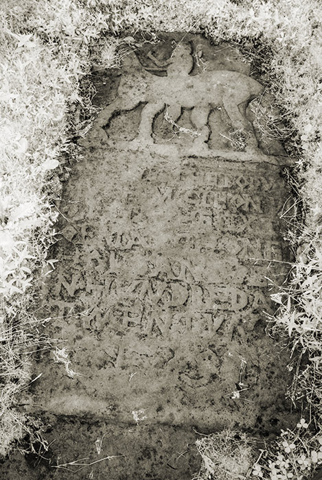 Grave of Grace Connolly's husband