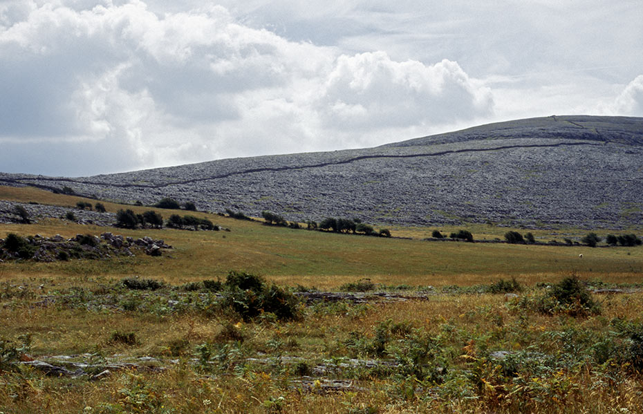The Burren , County Clare
