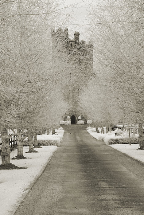 Cloghan Castle